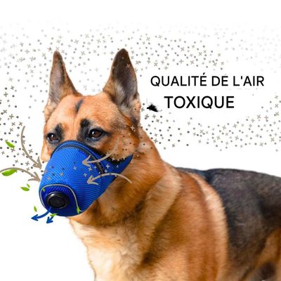 Petopia Muselière pour chien