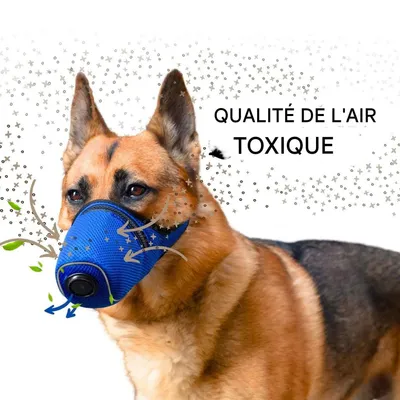 Petopia Muselière pour chien
