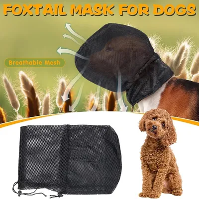 Petopia Masque de chien