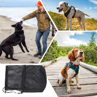 Petopia Masque de chien