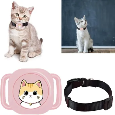 Pet Planet Collier GPS anti - fugue pour chats et chiens