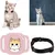 Pet Planet Collier GPS anti - fugue pour chats et chiens Pet Planet Collier GPS anti - fugue pour chats et chiens