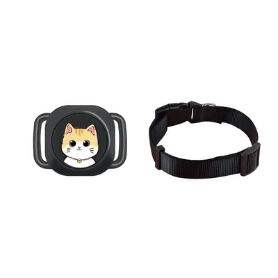 Pet Planet Collier GPS anti - fugue pour chats et chiens