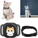 Pet Planet Collier GPS anti - fugue pour chats et chiens