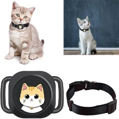 Pet Planet Collier GPS anti - fugue pour chats et chiens