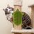 Petopia Brosse de toilettage autolissante pour chat