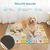 FurryFusion Tapis rafraîchissant pour chien