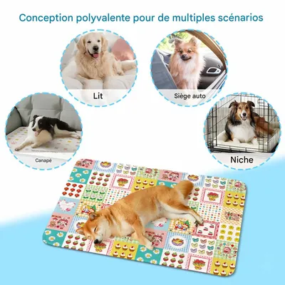 FurryFusion Tapis rafraîchissant pour chien
