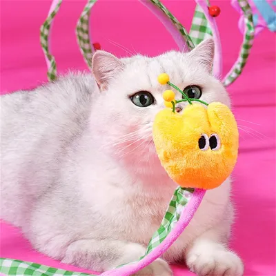 IntiMeg Tunnel pour chat avec jouets