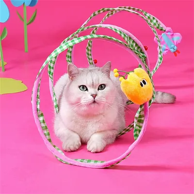 IntiMeg Tunnel pour chat avec jouets