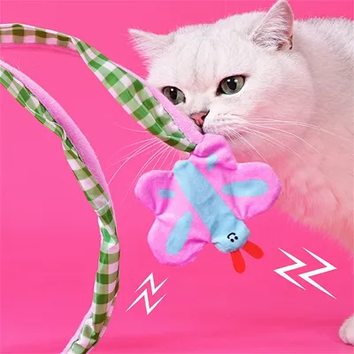 IntiMeg Tunnel pour chat avec jouets