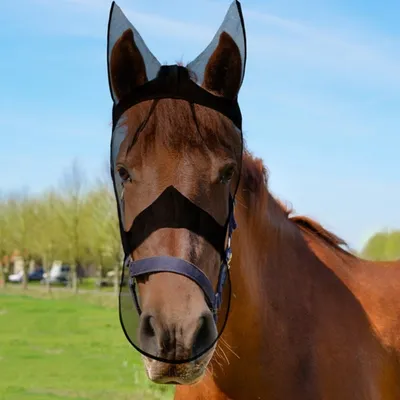Petopia Masque pour cheval réglable Petopia Masque pour cheval réglable