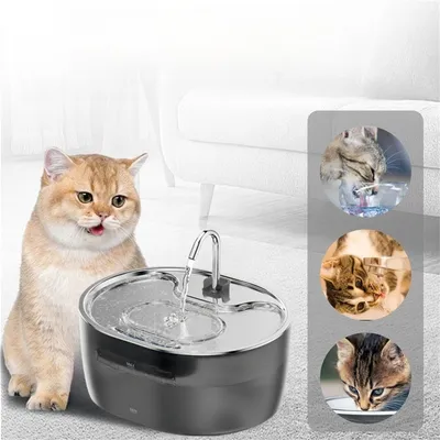 Pet Planet Fontaine à eau pour chat en acier inoxydable 3,2 L