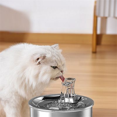 Pet Planet 2L Dispenseur d'eau en acier inoxydable 304