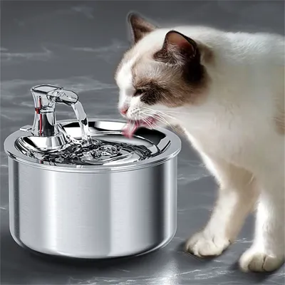 Pet Planet 2L Dispenseur d'eau en acier inoxydable 304