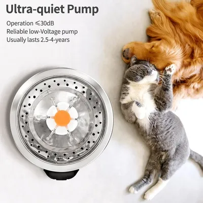Petopia Fontaine d'eau pour chat et petit chien