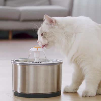 Petopia Fontaine d'eau pour chat et petit chien