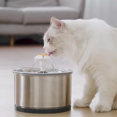 Petopia Fontaine d'eau pour chat et petit chien