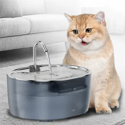 Pet Planet Fontaine à eau pour chat en acier inoxydable 3,2 L