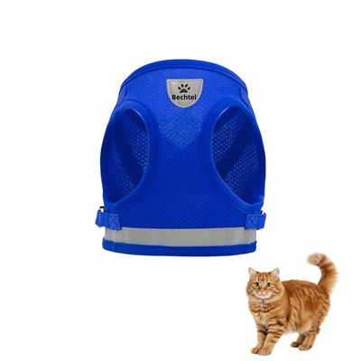 Petopia Ensemble harnais et laisse pour chat