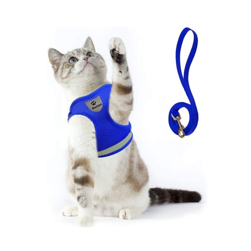 Petopia Ensemble harnais et laisse pour chat