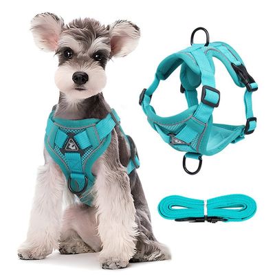 Pet Planet Harnais de poitrine réfléchissant pour chien et chat
