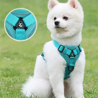 Pet Planet Harnais de poitrine réfléchissant pour chien et chat