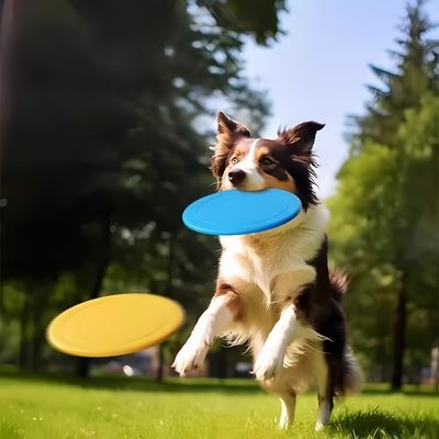 Petopia Frisbee pour chien