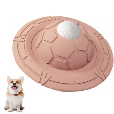 ZooVenture Biodegradable Frisbee Pour Chiens
