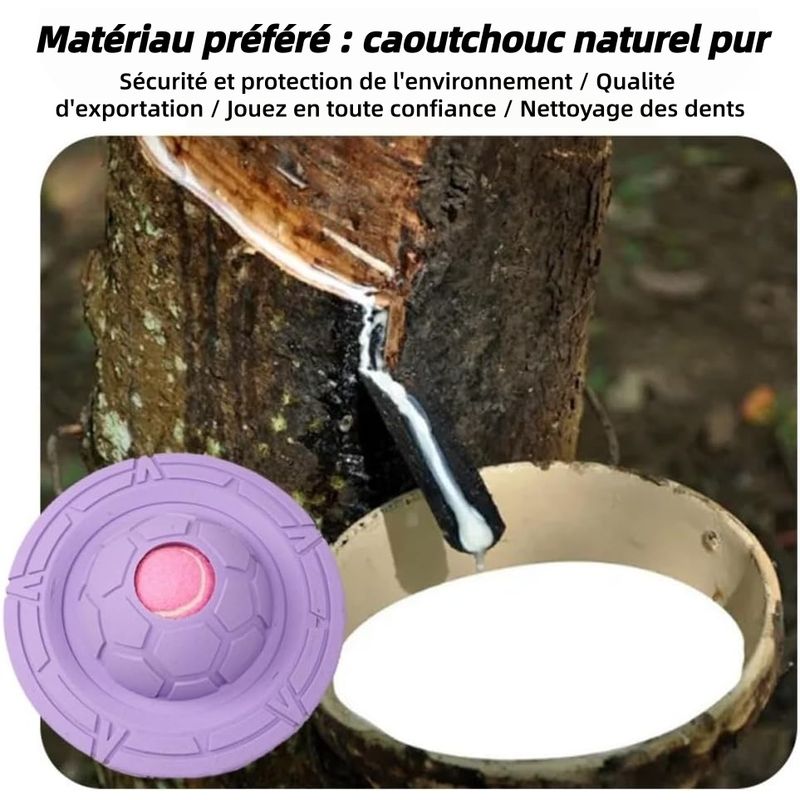 ZooVenture Biodegradable Frisbee Pour Chiens