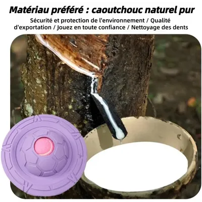 ZooVenture Biodegradable Frisbee Pour Chiens