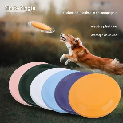 Petopia Frisbee pour chien