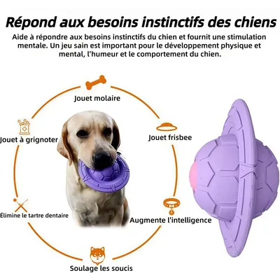ZooVenture Biodegradable Frisbee Pour Chiens