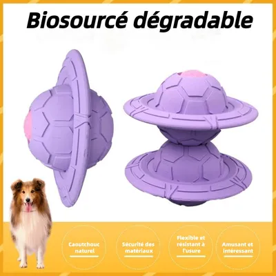 ZooVenture Biodegradable Frisbee Pour Chiens