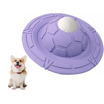 Pet Planet ZooVenture Biodegradable Frisbee Pour Chiens