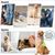 ZooVenture Doux Confortable Nettoyeur De Pattes Pour Chiens