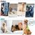 Pet Planet Chiens Nettoyeur de pattes