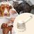 PurrfectFun Brosse à Lavage pour Animaux de Compagnie