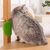 Pet Planet Gratte chat avec peigne de massage en silicone 2 articles