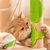 Pet Planet Gratte chat avec peigne de massage en silicone 2 articles