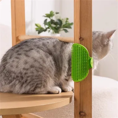 Pet Planet Gratte chat avec peigne de massage en silicone 2 articles