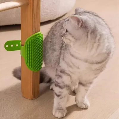 Pet Planet Gratte chat avec peigne de massage en silicone 2 articles