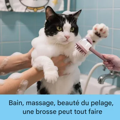 ZooVenture Distributeur de Savon Intégré Brosse de Douche pour Chien