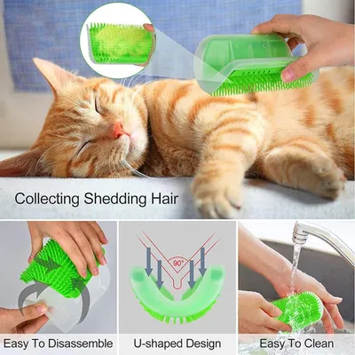 Petopia Brosse de toilettage pour chat avec herbe à chat