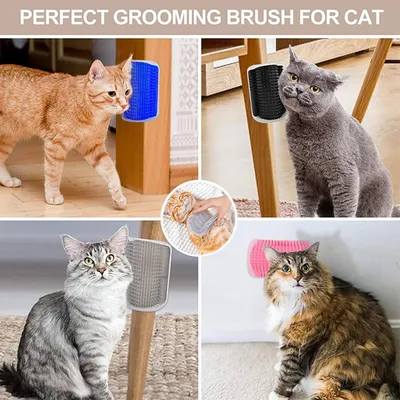 Petopia Brosse de toilettage pour chat avec herbe à chat