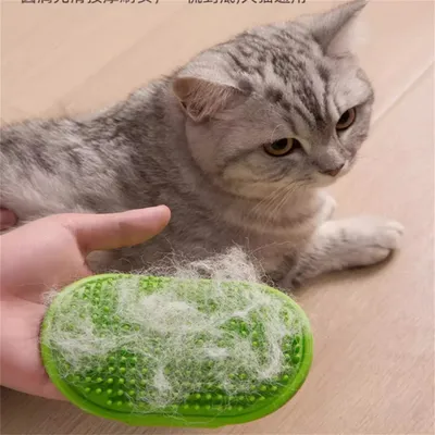Pet Planet Gratte chat avec peigne de massage en silicone 2 articles