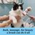 Pet Planet Chiens et Chats Brosse de bain