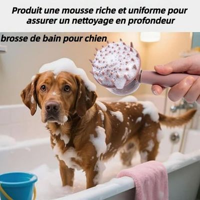 ZooVenture Distributeur de Savon Intégré Brosse de Douche pour Chien
