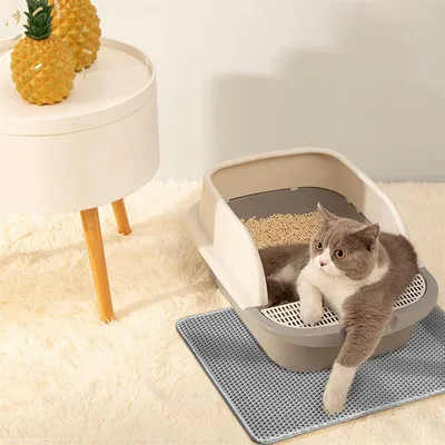 Pet Planet Tapis de litière pour chat 60 X 45 cm