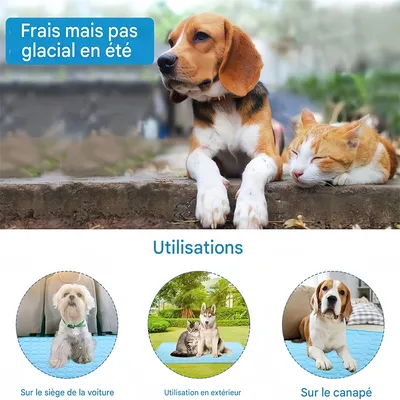 Pet Planet Tapis rafraîchissant pour chats et chiens